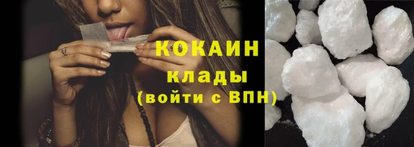 шишки Абаза