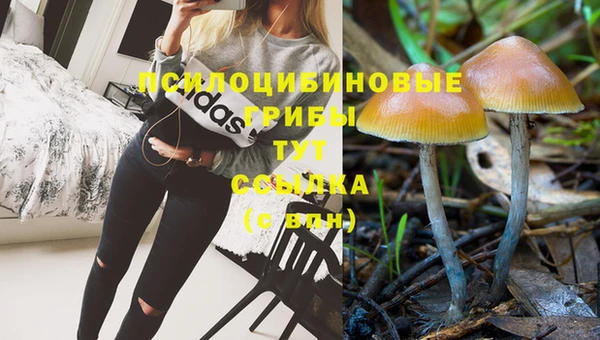 кокаин Алексин